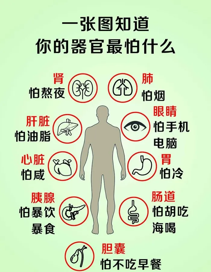 你的器官最怕什么宣传画图片