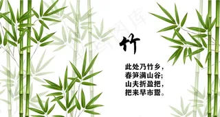 矢量竹子图片