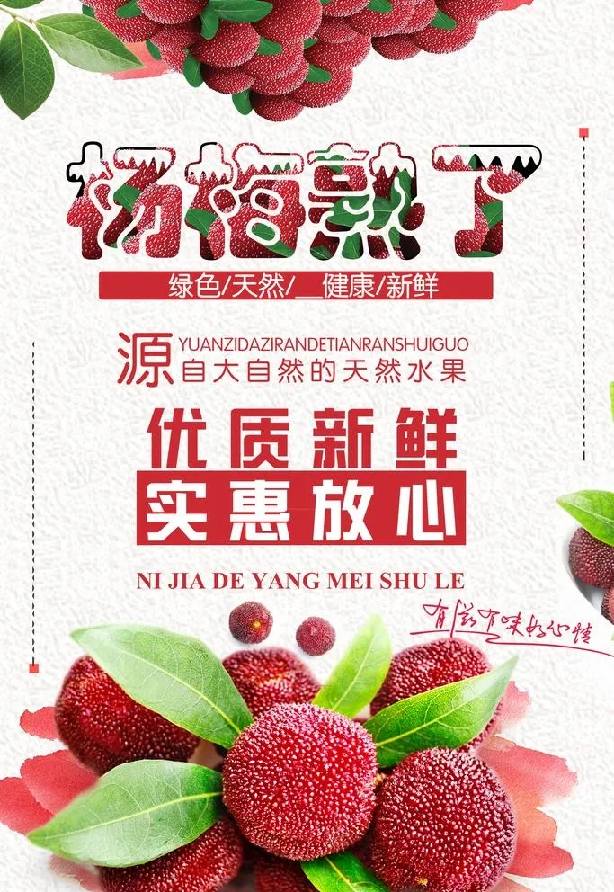 杨梅图片