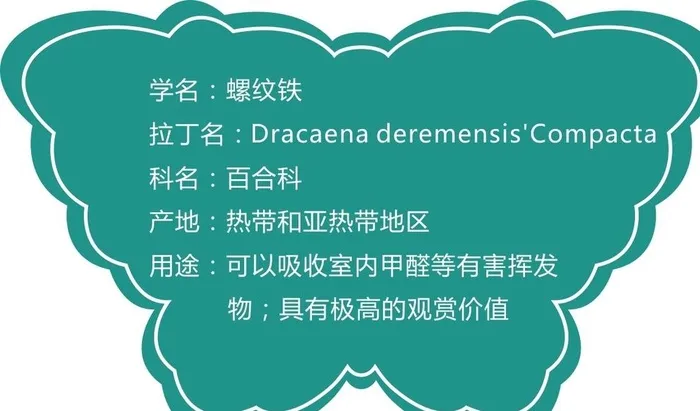 蝴蝶异形植物牌图片cdr矢量模版下载