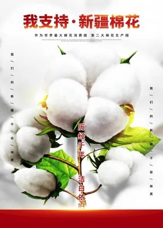 棉花海报图片