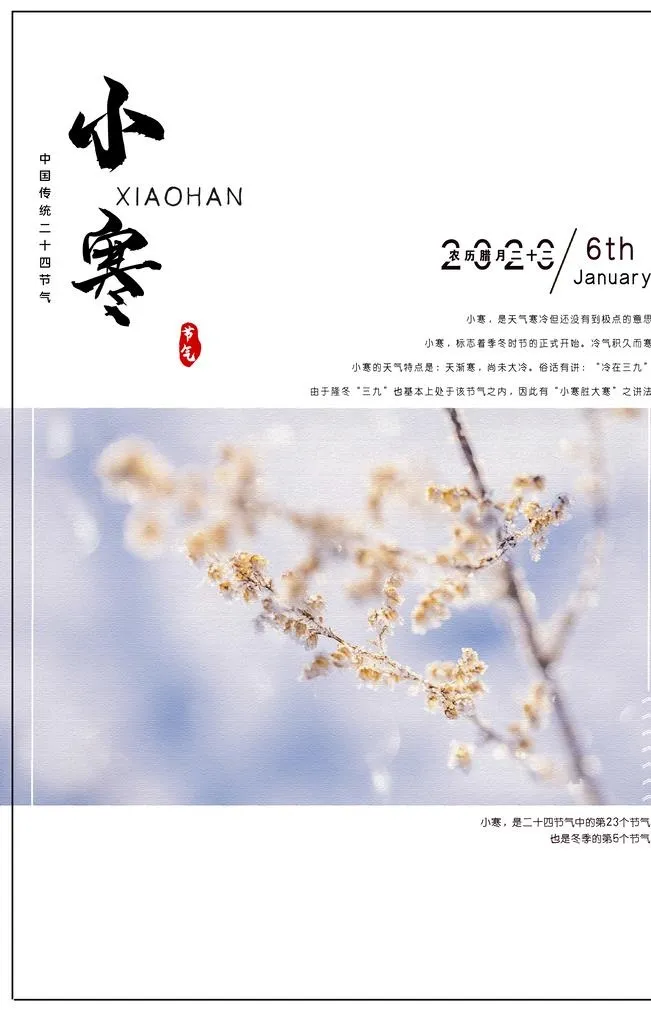 小寒海报图片(2362x3543)psd模版下载