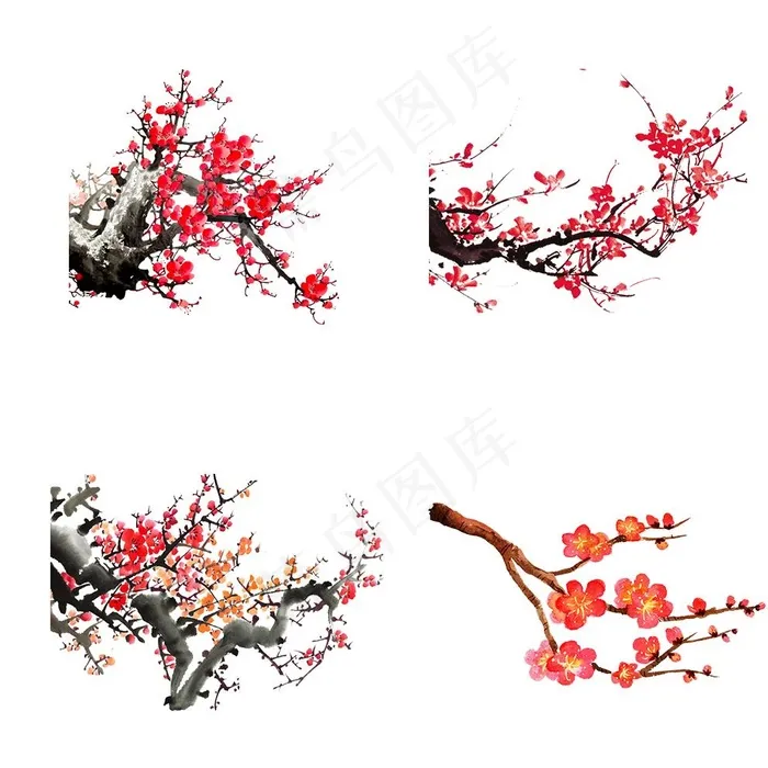 梅花素材 图片