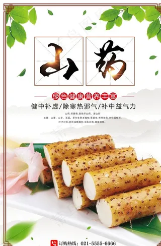 山药图片