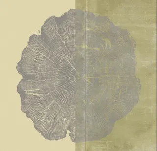 斑驳底色年轮线圈矢量图案图片