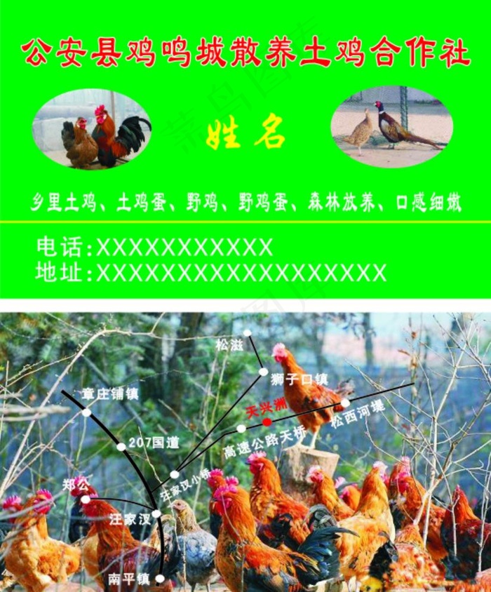 土鸡合作社名片图片cdr矢量模版下载