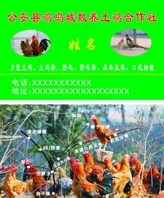 土鸡合作社名片图片