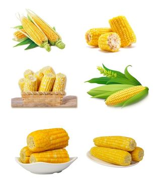 玉米图片