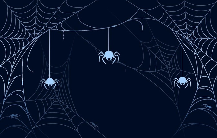 蜘蛛网背景图片