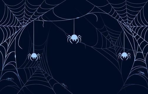 蜘蛛网背景图片