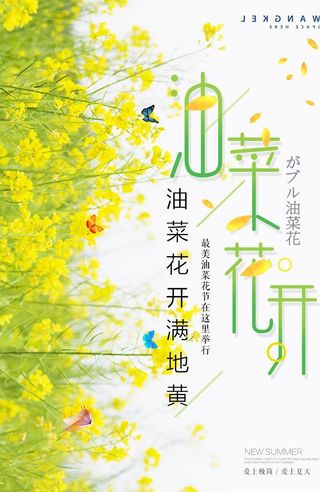油菜花海报图片