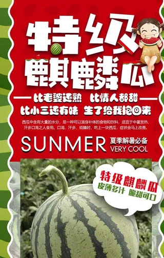 西瓜   麒麟瓜 特级  海报图片