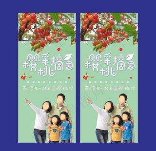 樱桃园摘樱桃图片