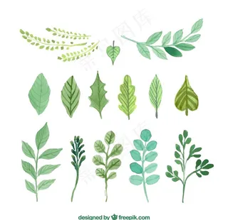 绿色水彩树叶图片