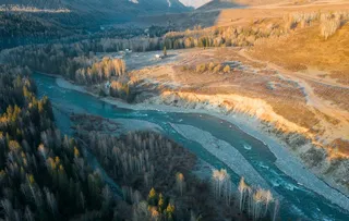 秋季森林草原图片