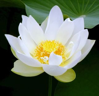 现代装饰画图片