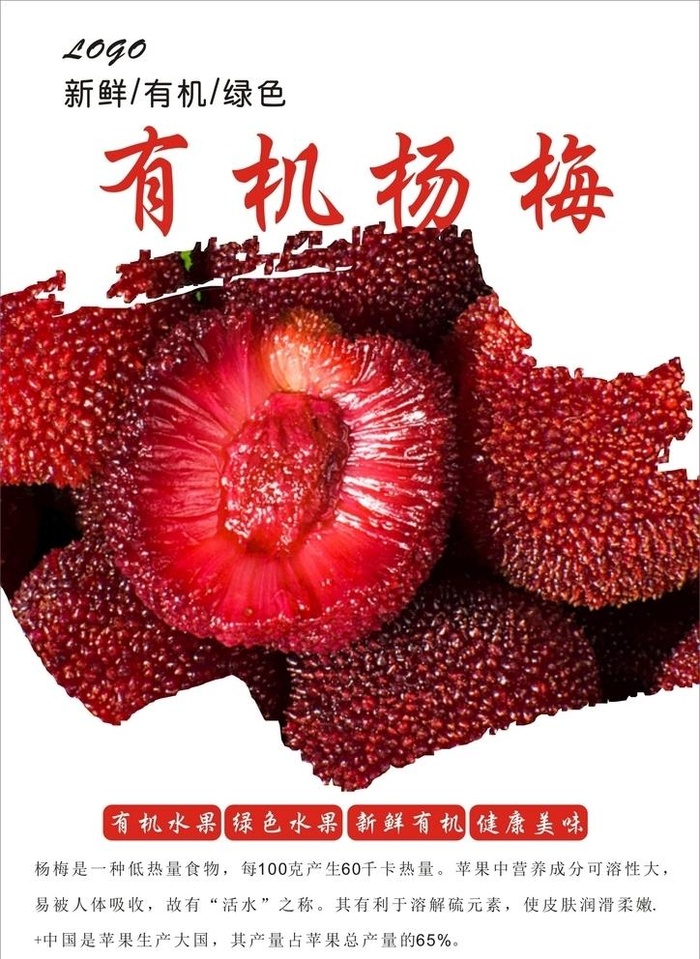 杨梅海报图片cdr矢量模版下载