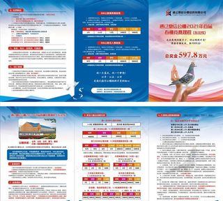 信鸽春棚比赛图片