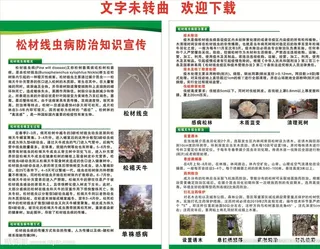松材线虫病防治知识宣传单图片