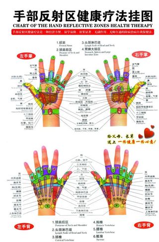 手部反射区健康疗法挂图图片