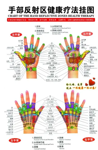 手部反射区健康疗法挂图图片