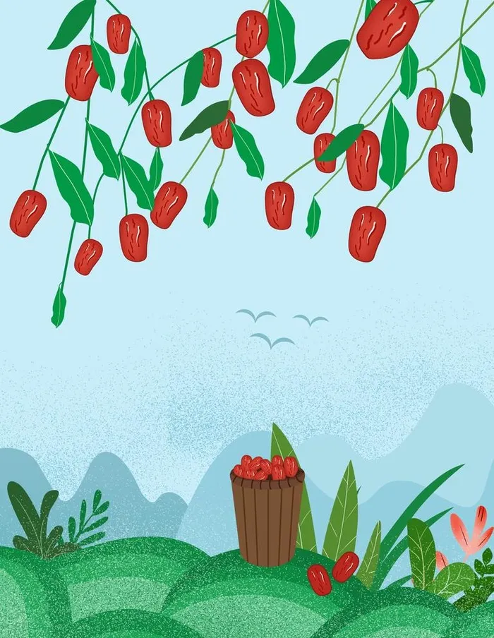 大枣手绘插画图片(3543x4724)psd模版下载