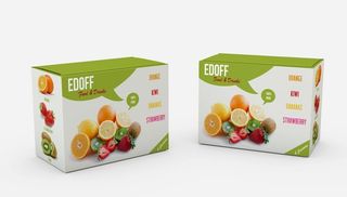 水果盒子品牌VI样机 图片