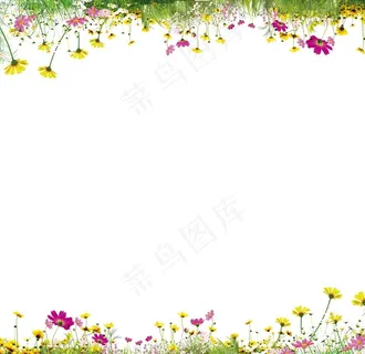 鲜花植物边框元素图片