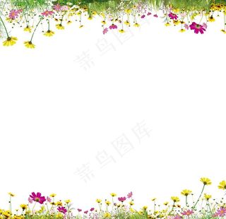 鲜花植物边框元素图片