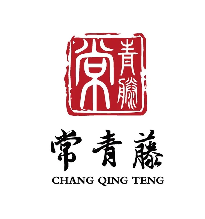 养生馆 中医药 膏药 logo图片