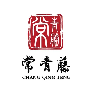 养生馆 中医药 膏药 logo图片