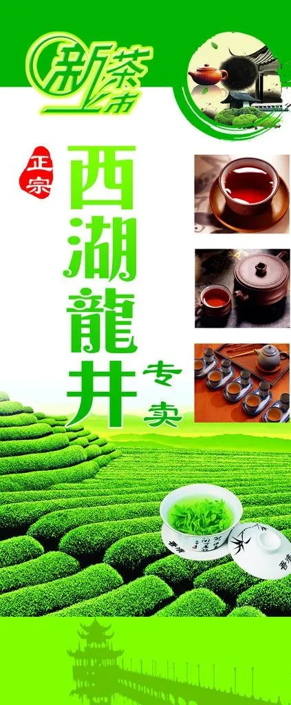 龙井茶易拉宝图片(5760x12960)psd模版下载
