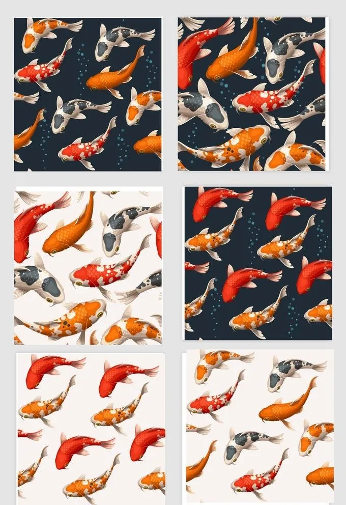 锦鲤图片ai矢量模版下载