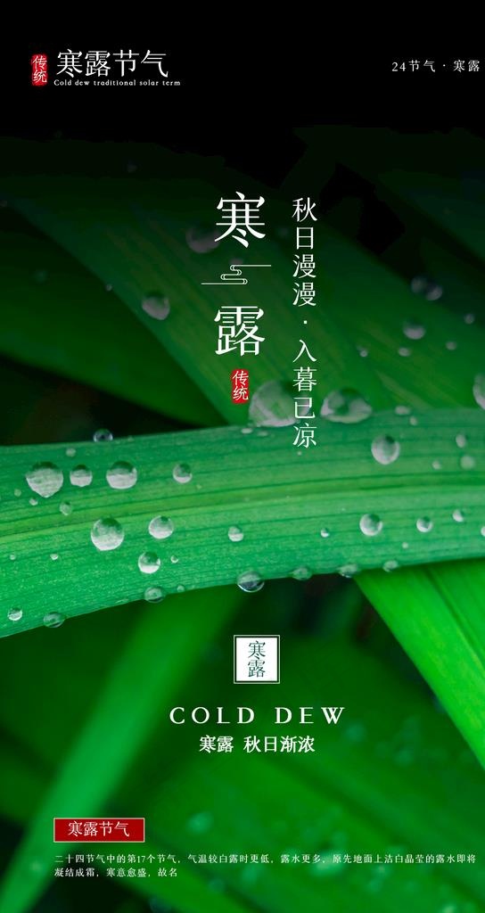 寒露图片(1242x2208)psd模版下载
