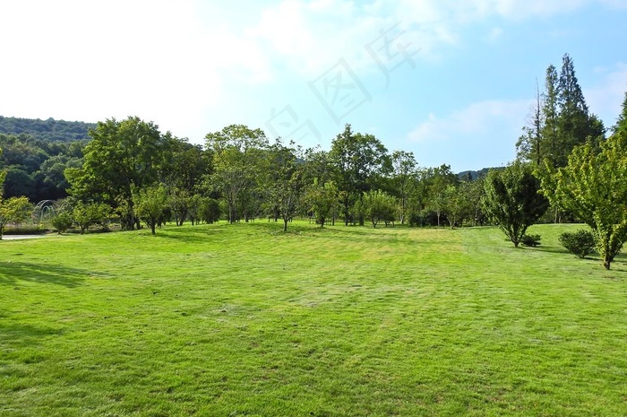 草坪图片