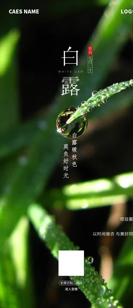 白露 节气刷屏 清新海报图片