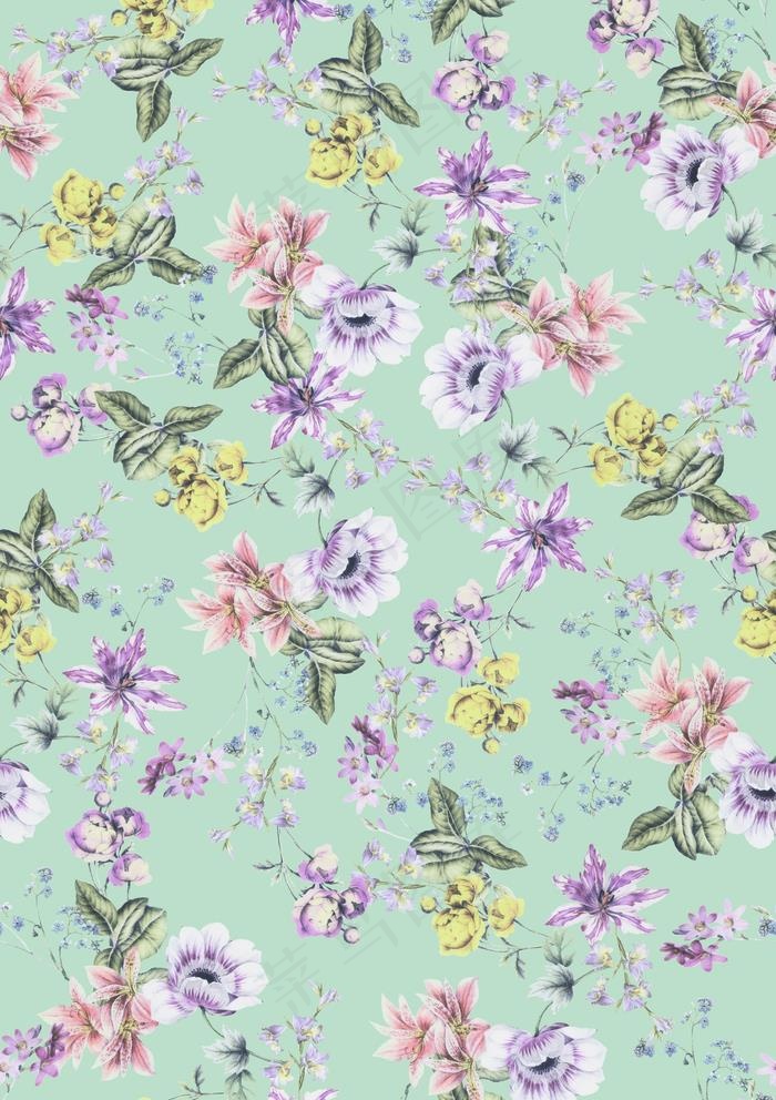 数码印花  大牌  女装   图片