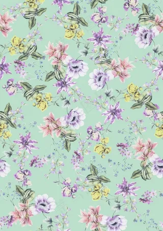 数码印花  大牌  女装   图片