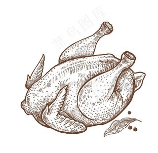 鸡肉图片
