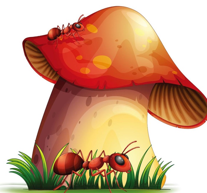 卡通蘑菇矢量图片