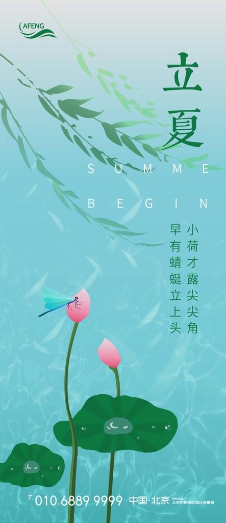 荷花蜻蜓立夏节气海报图片