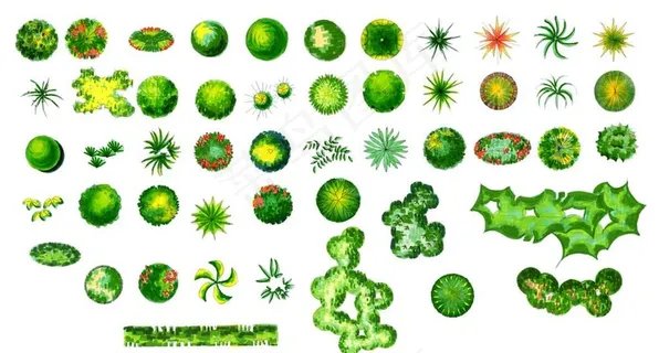 植物平面图图片