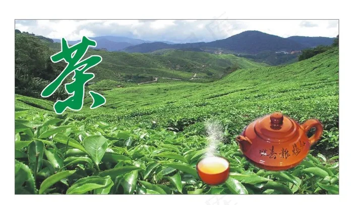 茶业茶行背景图片cdr矢量模版下载