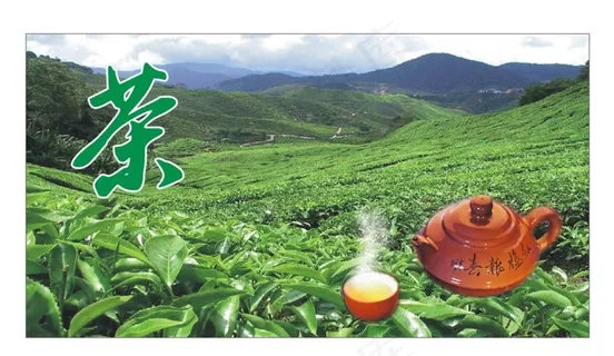 茶业茶行背景图片