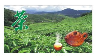茶业茶行背景图片