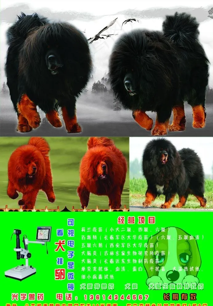 藏獒 兽药图片psd模版下载