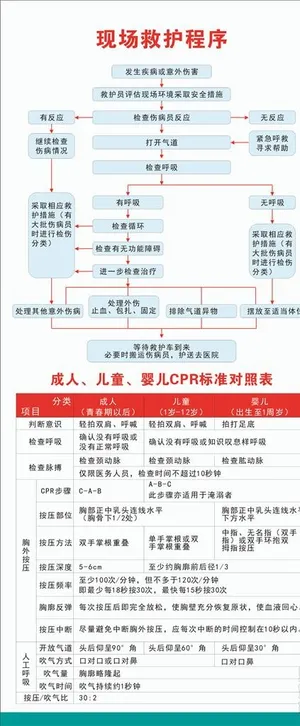 救护程序展架图片 救护程序展架图片