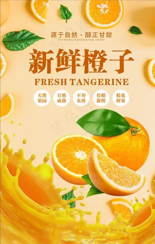 新鲜橙子图片
