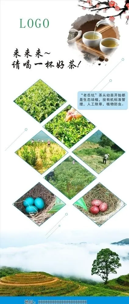 生态观光农业茶园展架图片cdr矢量模版下载