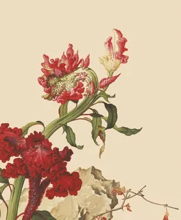 花鸟画图片 花鸟画图片